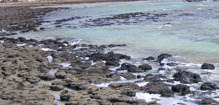 Voyage sur-mesure, Shark Bay World Heritage Area